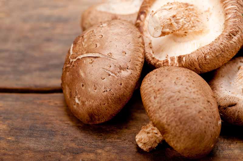 Substitutes For Shiitake Mushrooms