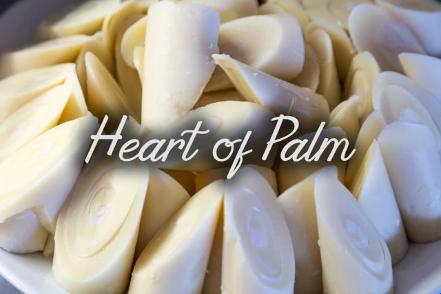 Herz der Palme
