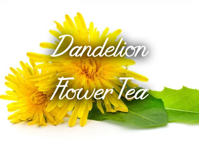 Dandelion Flower Tea