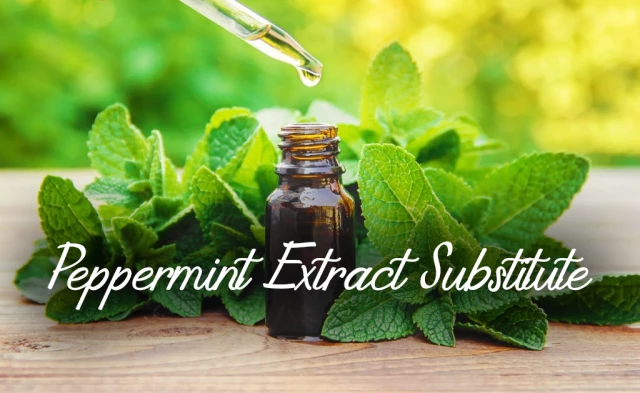 Peppermint Extract Substitute