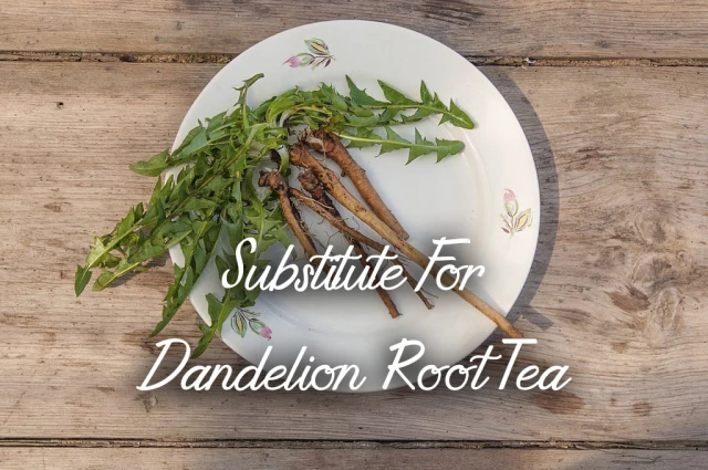 Substitute For Dandelion Root Tea