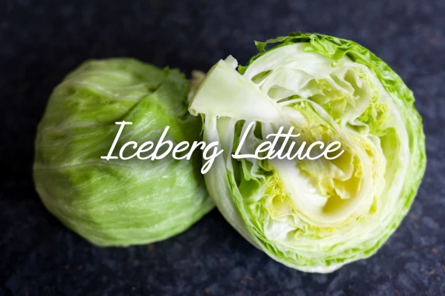 Iceberg Lettuce
