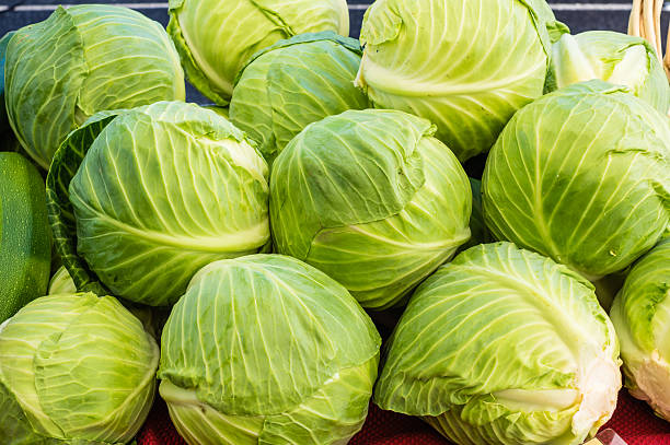 Green Cabbage for substitute