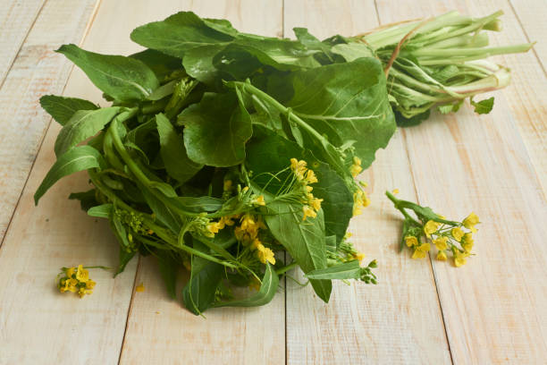 Mustard Greens for substitutes