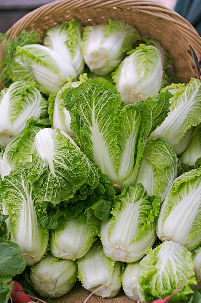 Napa Cabbage for alternatives