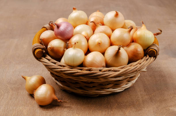 Spanish Onion substitutes